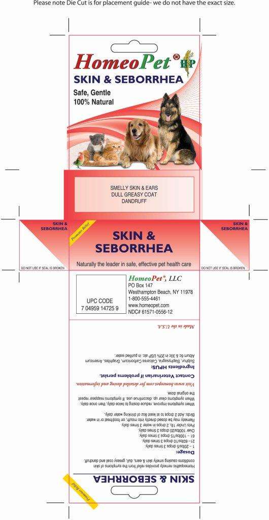 Skin and Seborrhea