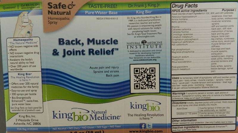 Back Muscle and Joint Relief