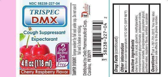TRISPEC DMX Cough Suppressant Expectorant CHERRY RASPBERRY Flavor