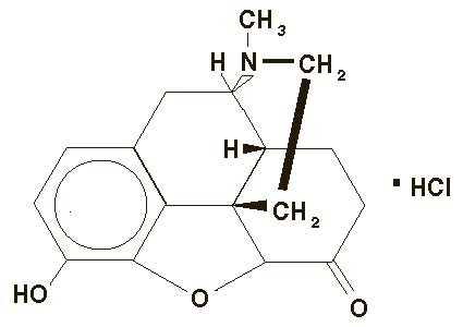 Hydromorphone Hydrochloride