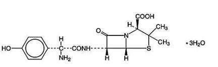 Amoxicillin