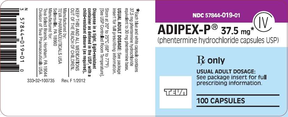 Adipex-P