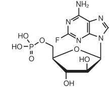 Fludarabine Phosphate