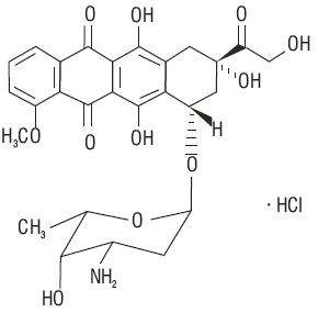 Doxorubicin Hydrochloride