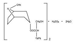 Hyoscyamine Sulfate