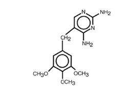 Sulfamethoxazole and Trimethoprim