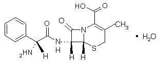 cephalexin