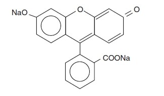 Fluorescein Sodium and Benoxinate Hydrochloride