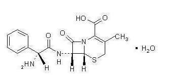 Cephalexin