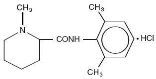 Scandonest Plain