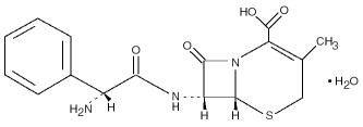 Cephalexin