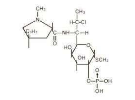 Cleocin Phosphate