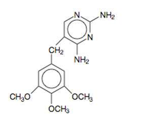 Sulfamethoxazole and Trimethoprim