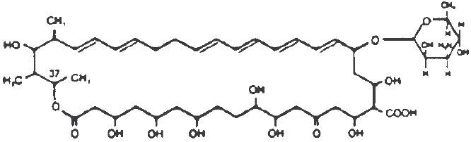 Nystatin and Triamcinolone Acetonide