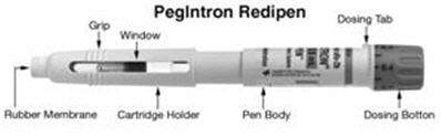 PegIntron