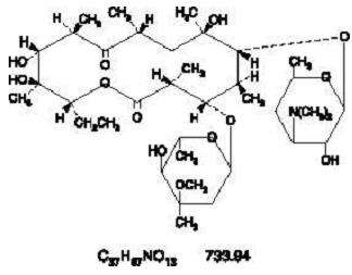 erythromycin