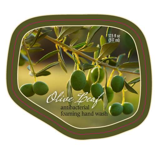 Olive Leaf Antibacterial Foaming Hand Wash