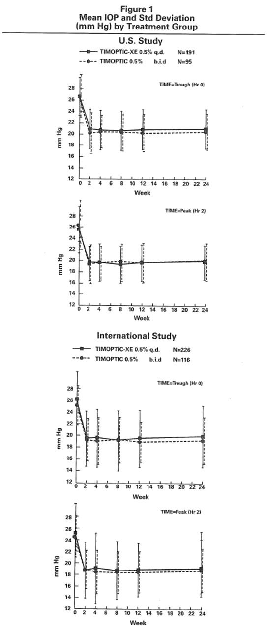 Timoptic-XE