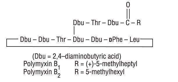 AK-POLY-BAC