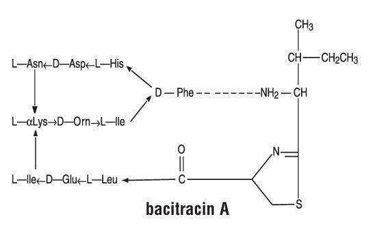 AK-POLY-BAC