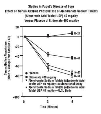 Alendronate Sodium