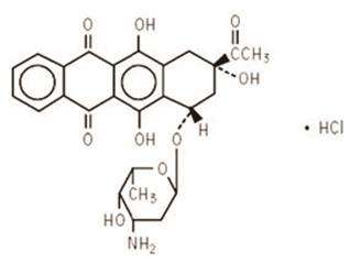 Idarubicin Hydrochloride