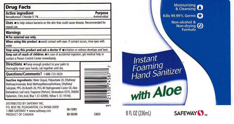 FOAMING HAND SANITIZER