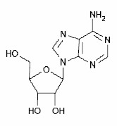 Adenosine