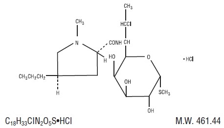 Clindamycin Hydrochloride