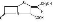 AMOXICILLIN AND CLAVULANATE POTASSIUM