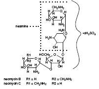 Neomycin and Polymyxin B Sulfates, Bacitracin Zinc and Hydrocortisone