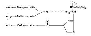 Neomycin and Polymyxin B Sulfates, Bacitracin Zinc and Hydrocortisone