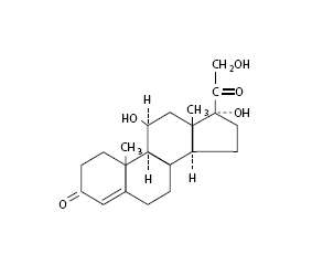 Neomycin and Polymyxin B Sulfates, Bacitracin Zinc and Hydrocortisone