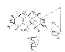 Erythromycin