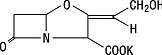 AUGMENTIN