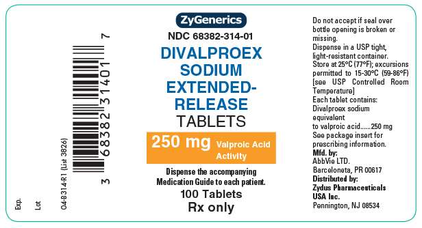 Divalproex Sodium Extended-Release