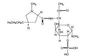 Clindamycin Phosphate