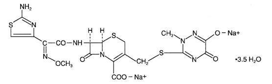 CEFTRIAXONE AND DEXTROSE