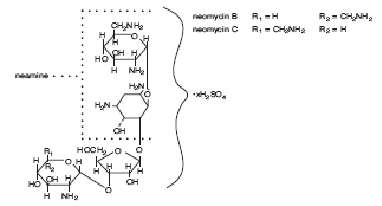 Neomycin and Polymyxin B Sulfates and Hydrocortisone