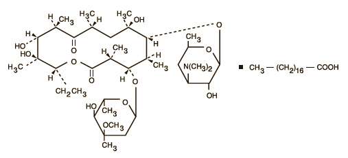 Erythrocin Stearate