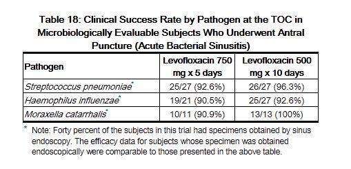 Levofloxacin