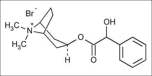 Hydrocodone Bitartrate and Homatropine Methylbromide