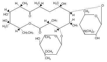 Erythromycin