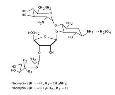 Neomycin and Polymyxin B Sulfates and Hydrocortisone