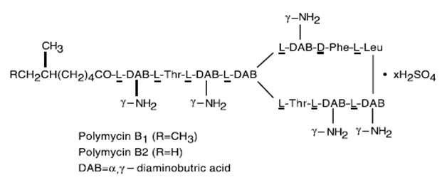 Neomycin and Polymyxin B Sulfates and Hydrocortisone