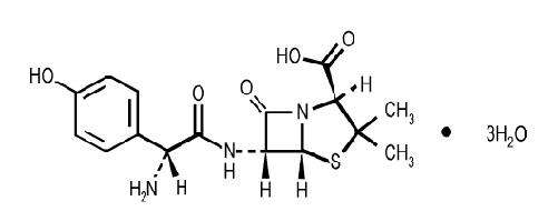 Lansoprazole Amoxicillin Clarithromycin