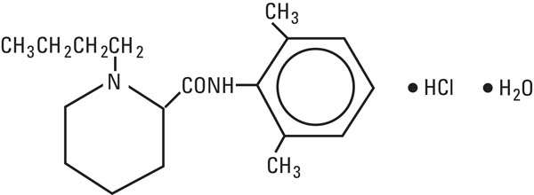 Bupivacaine