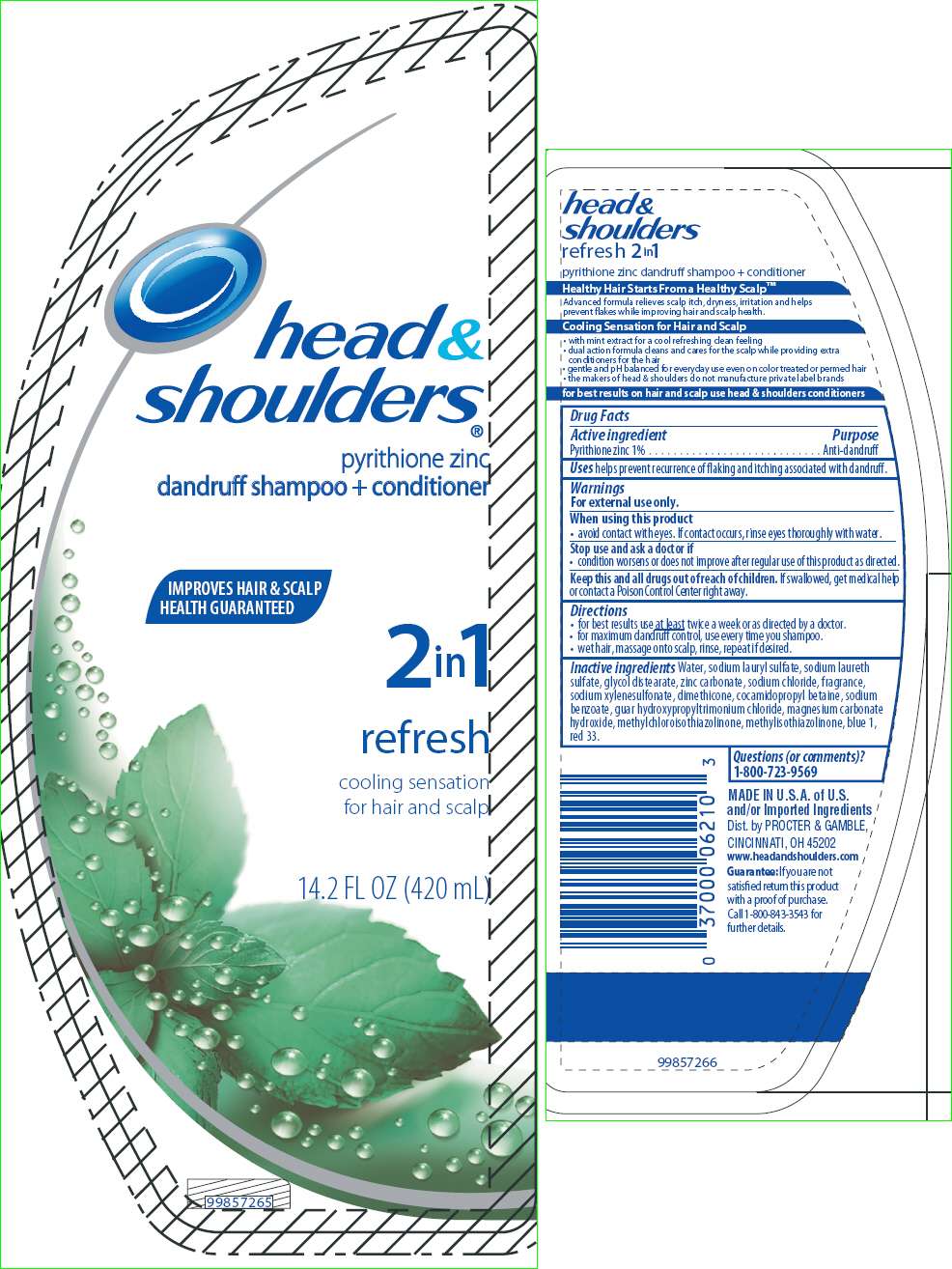 Head and Shoulders 2in1