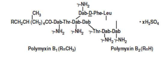 Polymyxin B