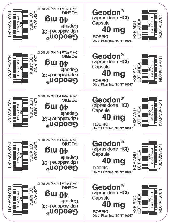 Geodon